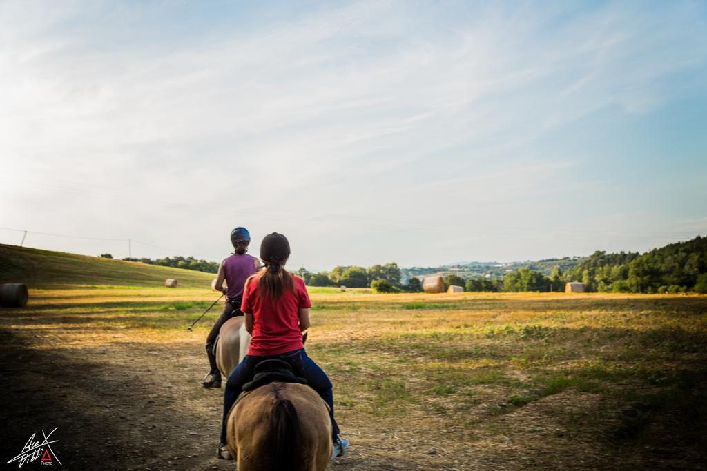 Alojamento de Turismo Rural Podere Dell'anselmo